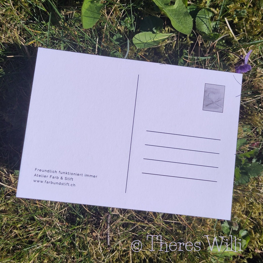 Postkarte - Alpaka