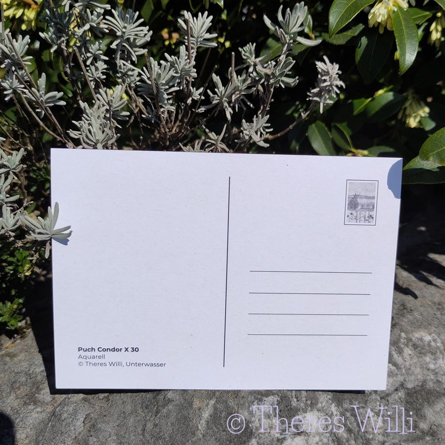Postkarte - Puch Condor X30
