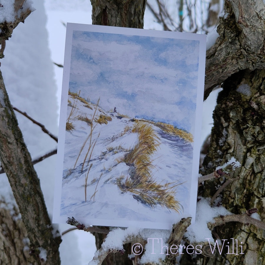 Postkarte - Rosenboden
