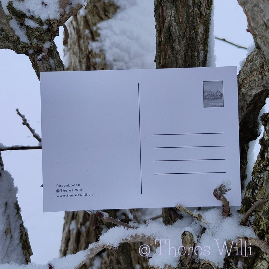 Postkarte - Rosenboden