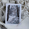 Postkarte - Winterwald