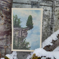 Postkarte - Mutige Tanne