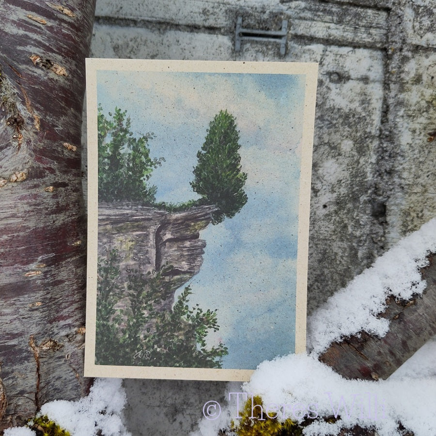 Postkarte - Mutige Tanne